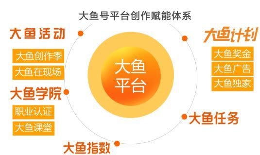 大鱼号新手如何养号？新手号一般多少钱？