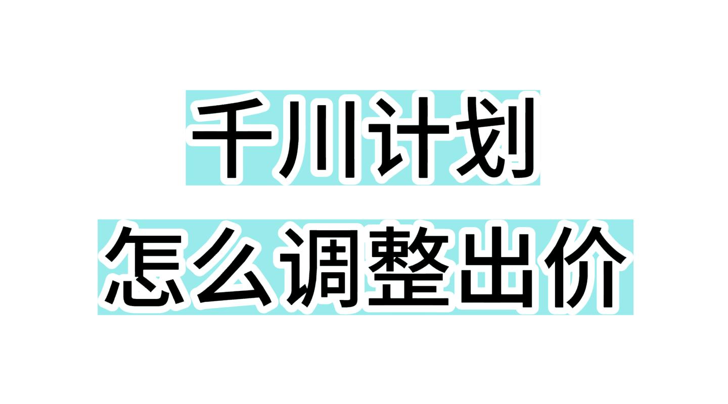 千川计划如何报价？