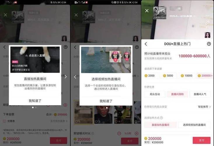 抖音直播间挂人app_快手直播仿真人气200人