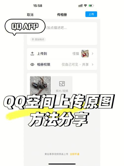 免费刷qq空间访客量网站 - 刷qq永久会员网站免费