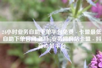 卡盟刷钻 - 点赞自助业务下单网站