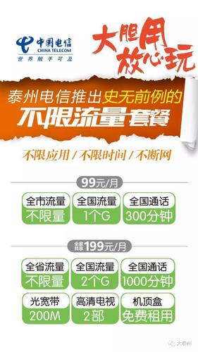 电信10元10g流量怎么开通 - 24小时自助平台下单10个赞