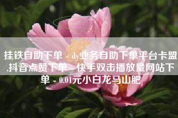 刷快手双击自助网站,dy业务平台