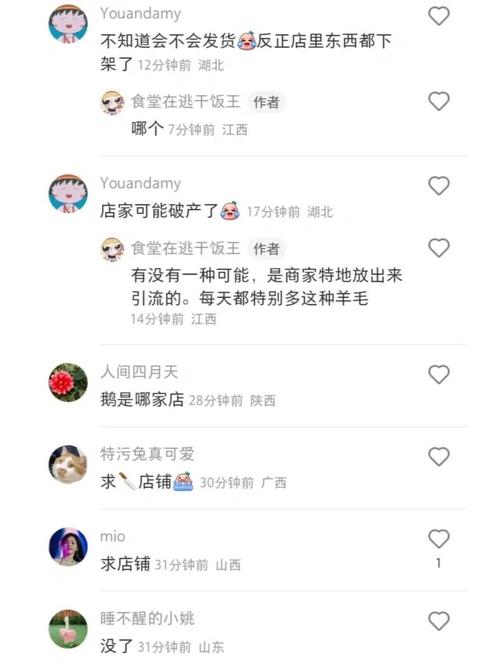 小红书如何评论发照片