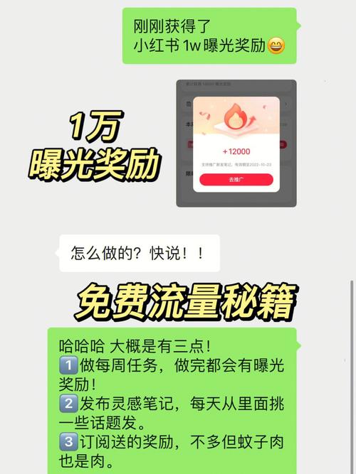 小红书如何查看任务