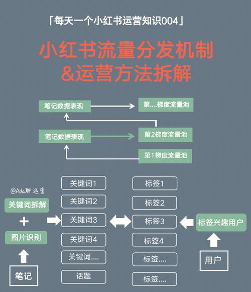 小红书新人如何流量