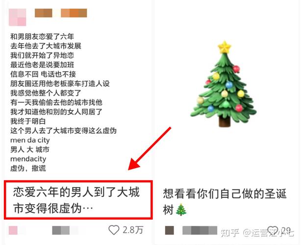 如何小红书的粉丝