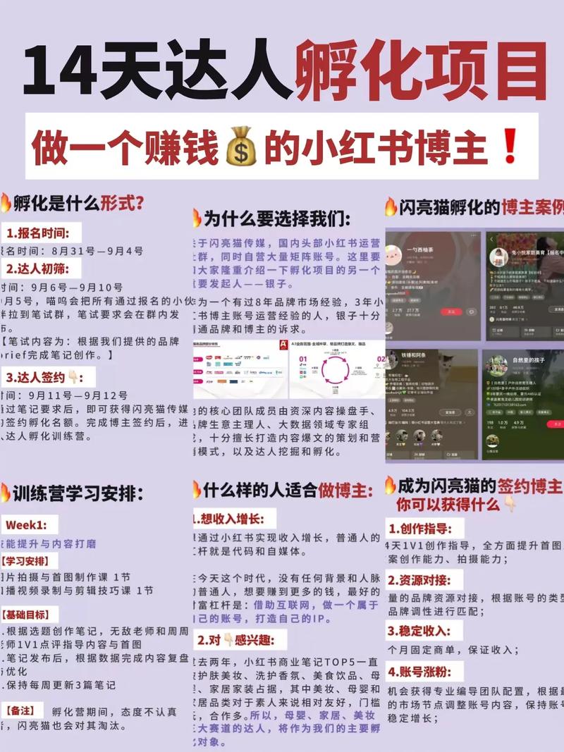 小红书如何合拍视频赚钱