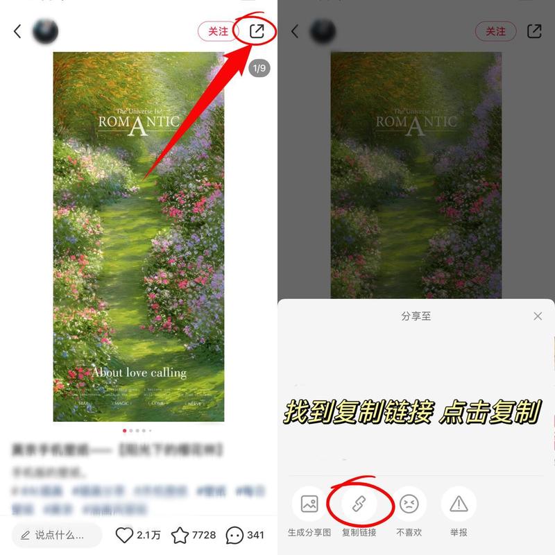 小红书原图如何下载图片