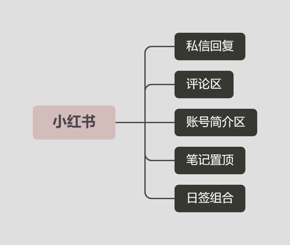 小红书如何优化引流渠道