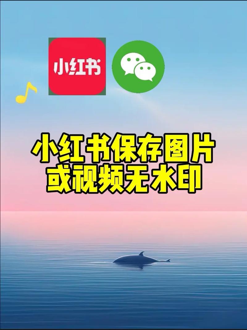 如何删小红书收藏的视频