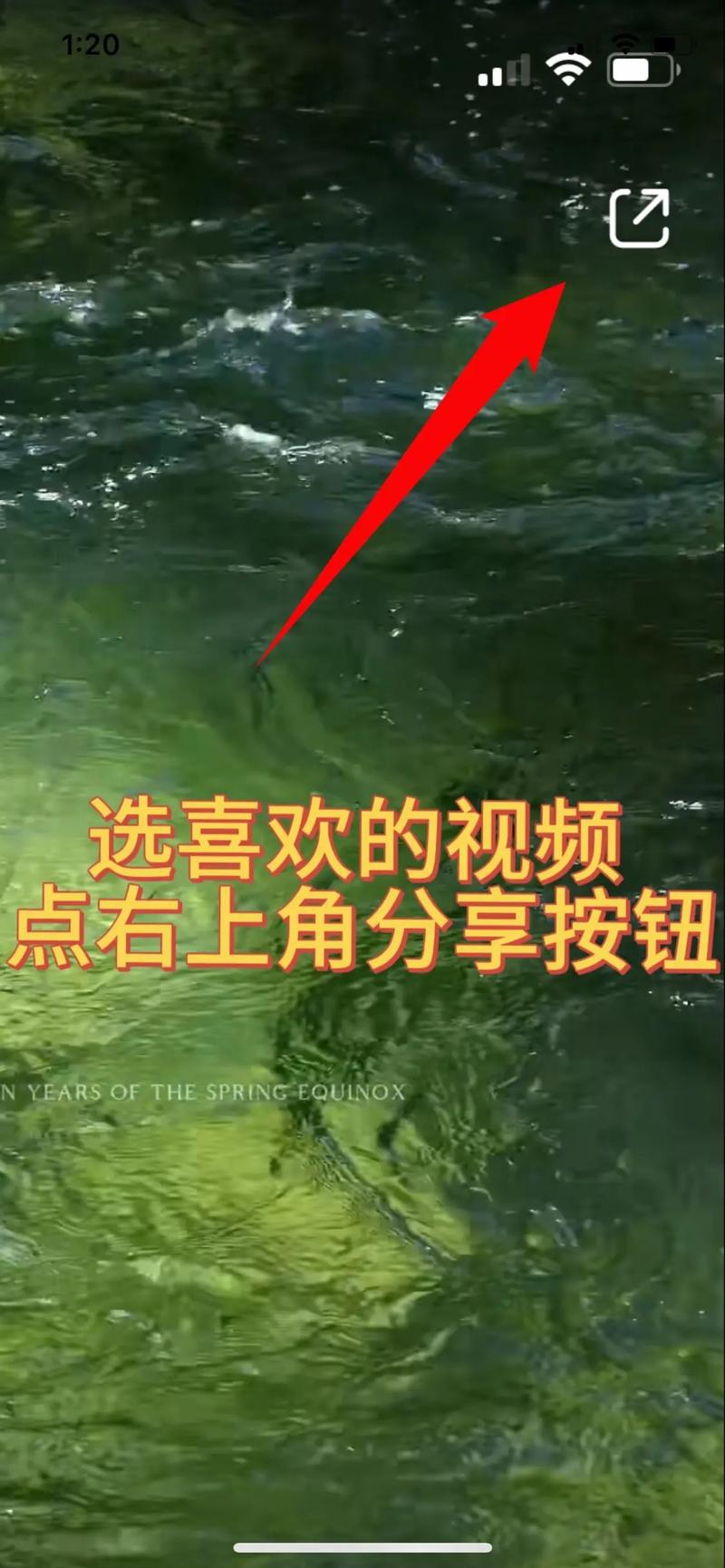 手机小红书如何横屏观看
