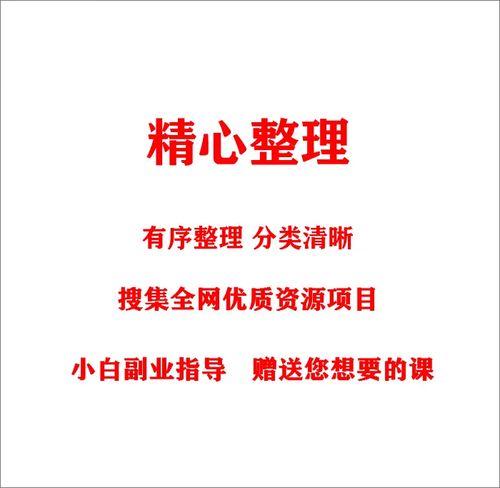 小红书如何直播带货公司