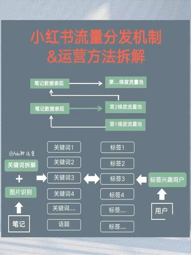 如何提高小红书流量提升