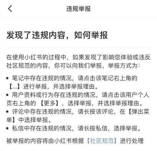 小红书如何处理投诉举报