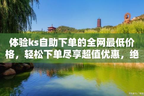 ks免费业务平台便宜,抖音业务低价自助平台超低价