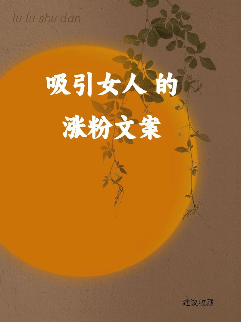 小红书发文如何吸引粉