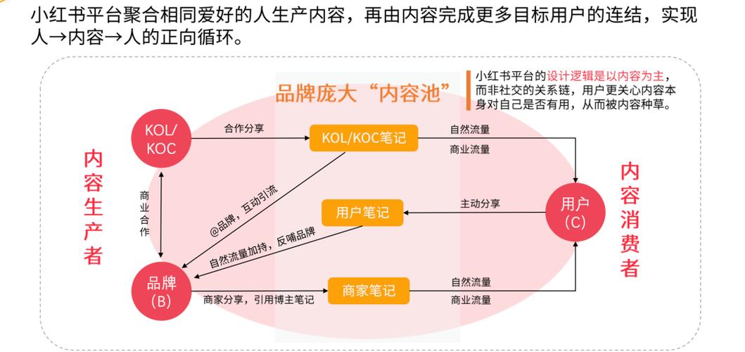 小红书如何变成负一岁