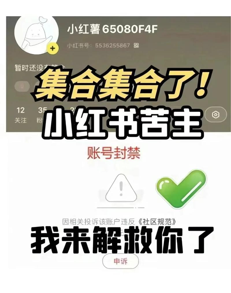 小红书如何解封权益账号