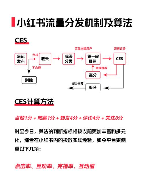 小红书如何查互动数