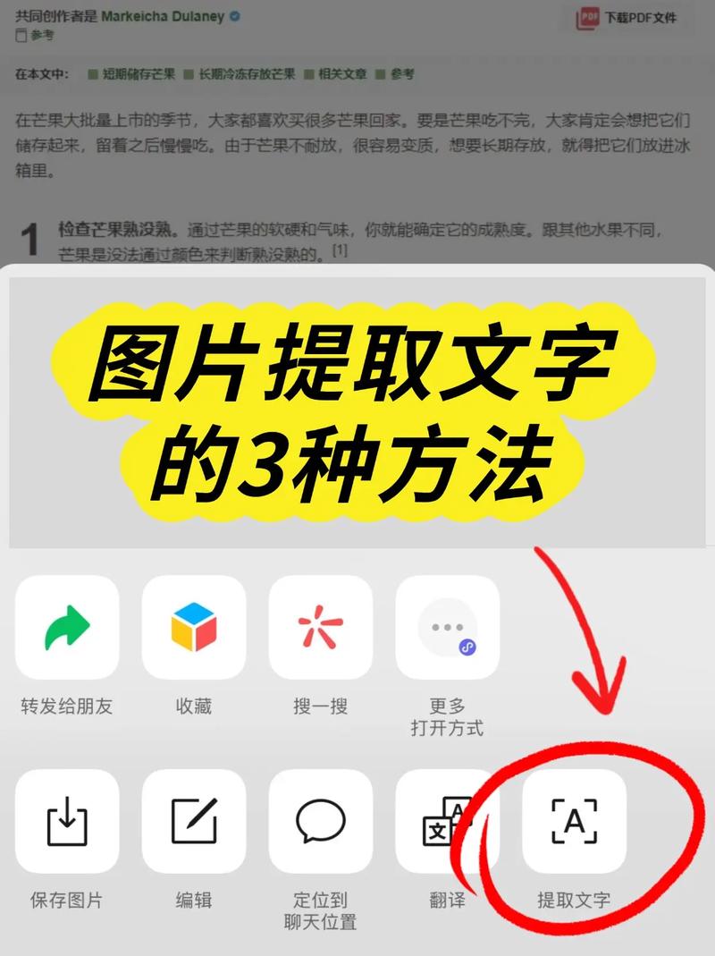 小红书图片如何添加字