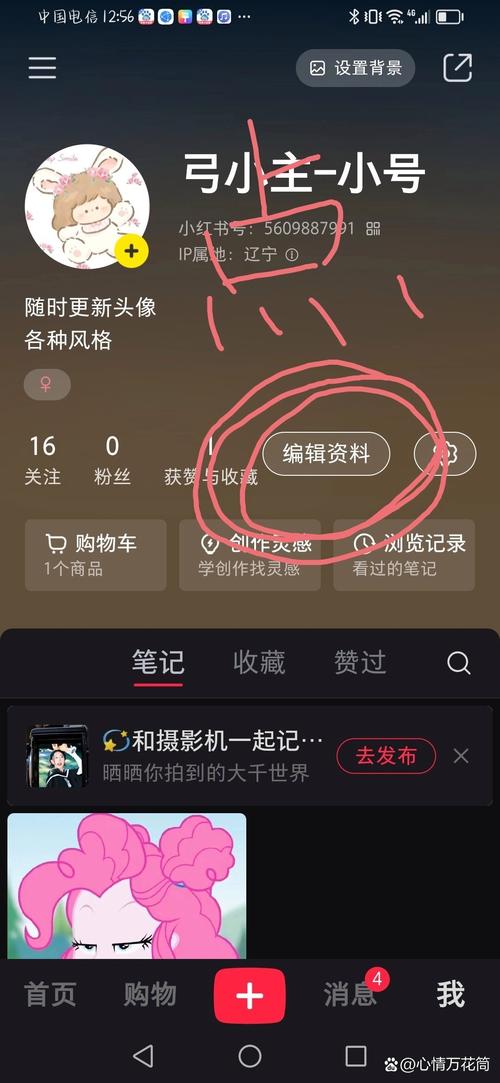 小红书如何显示用户名