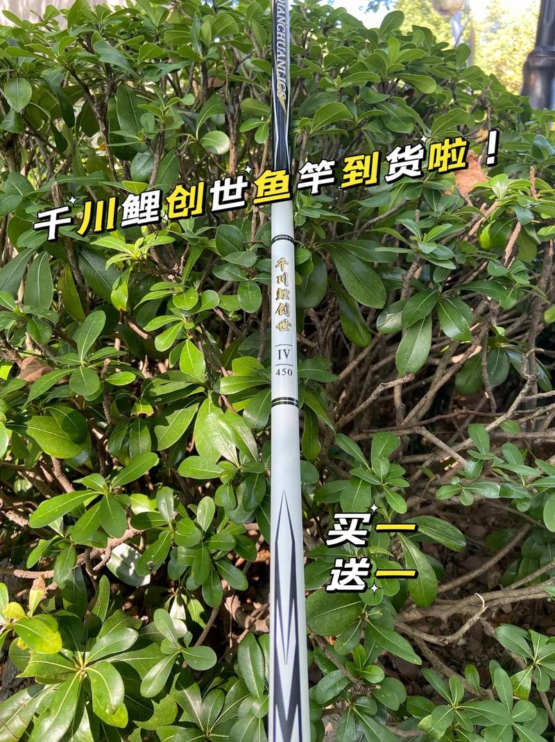 如何购买千川鲤鱼竿呢？