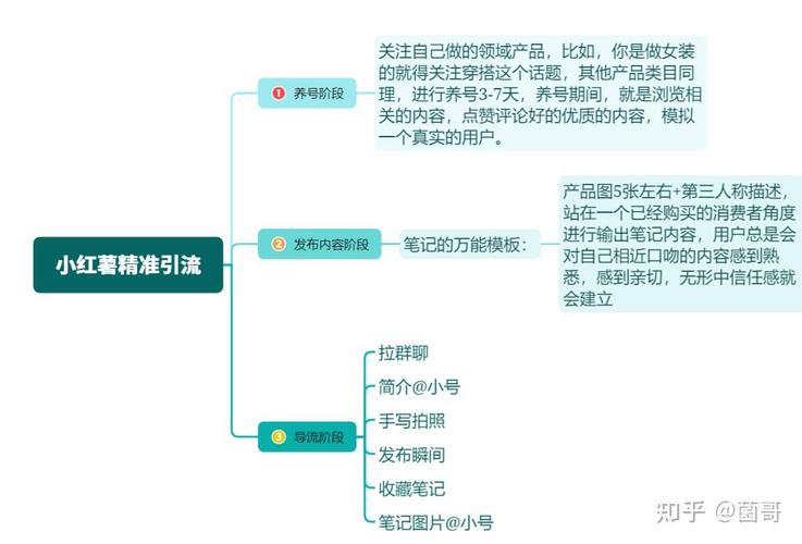 如何在小红书等软件上运营产品