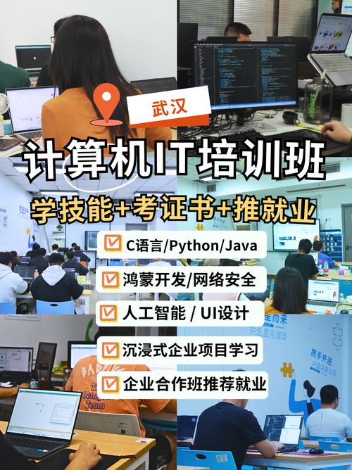 it培训什么专业好