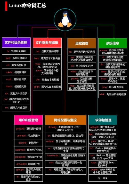 学习linux能找什么样的工作
