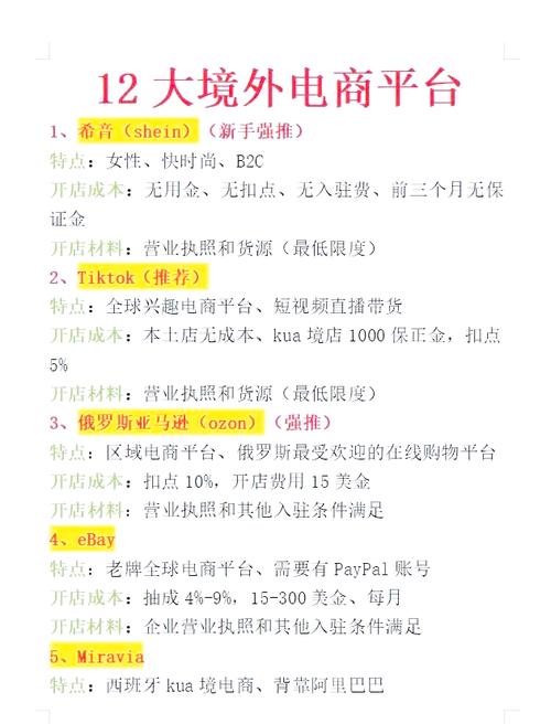 跨境电商入驻平台以后怎么做