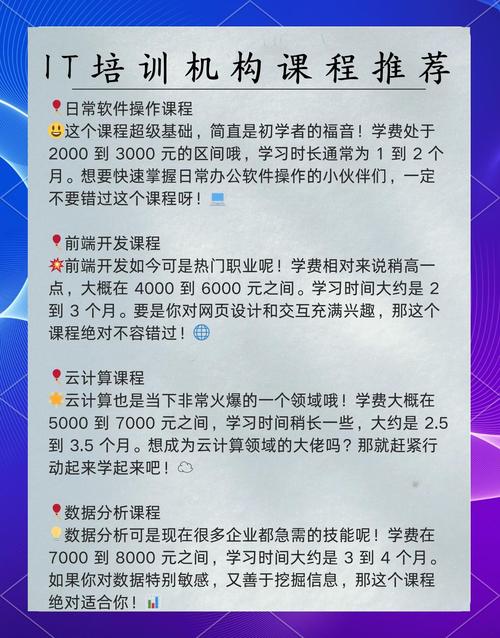 it培训学什么的