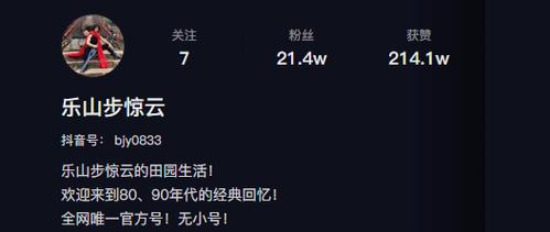 24小时涨赞,抖音特价网站