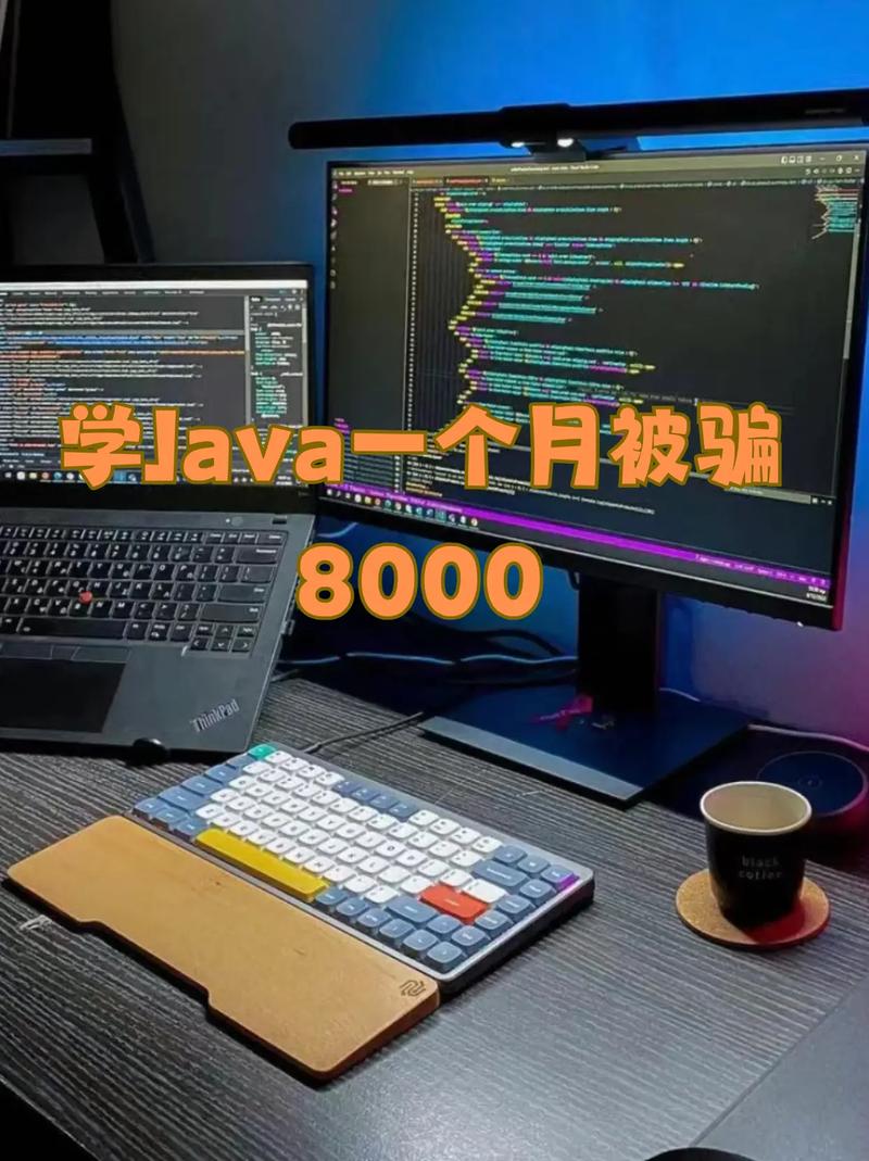 java编程怎么挣钱
