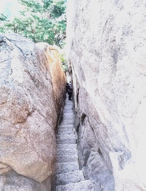 沈阳千峰怎么样