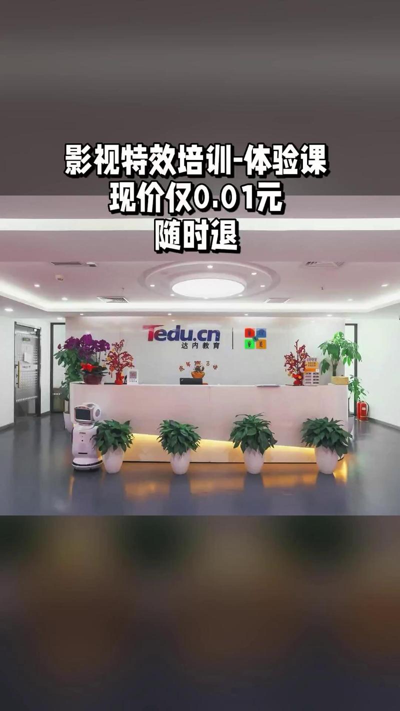 达内都培训什么东西