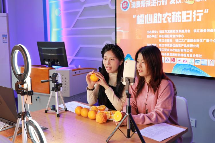 一般人怎么做农产品电商