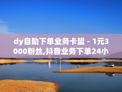 DY24小时在线业务平台-快手播放量秒单业务平台