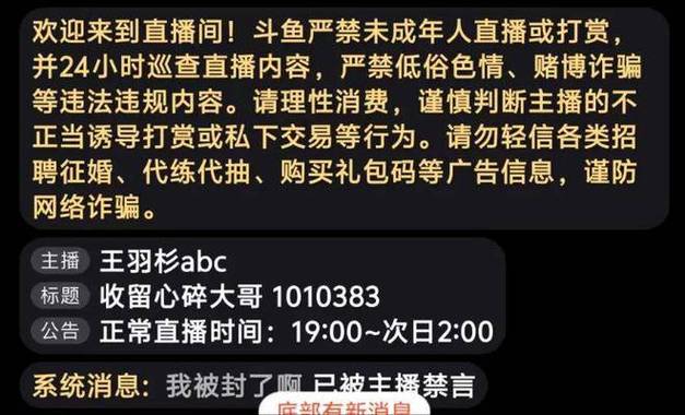dy在线直播人气24小时在线自助平台-dy低价业务下单平台免费业务