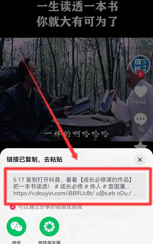 ks一元1000个赞秒单业务平台-快手自动推广引流24小时下单网址