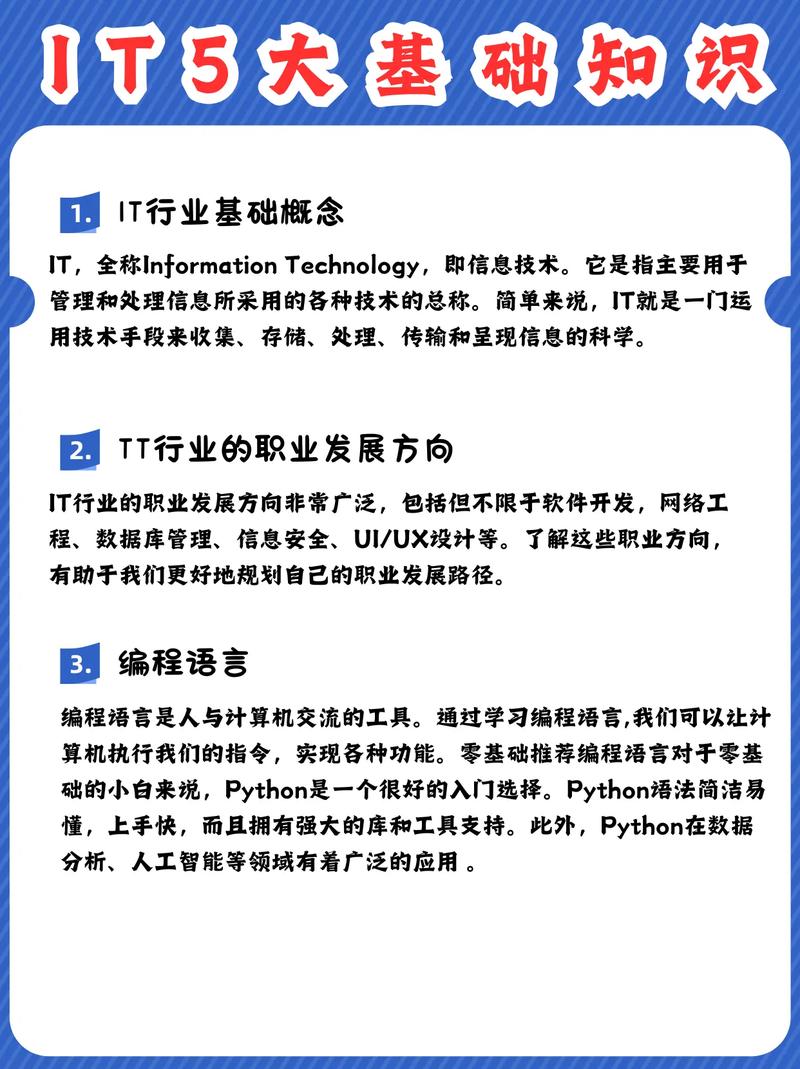 it学什么好