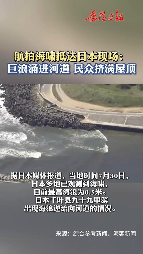 海啸抵达日本:民众挤满屋顶