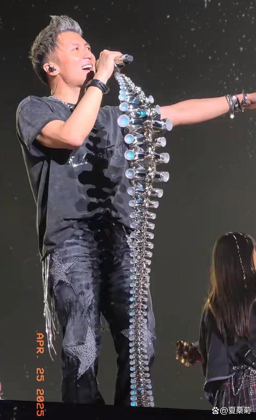 谢霆锋演唱会观众中暑被120拉走