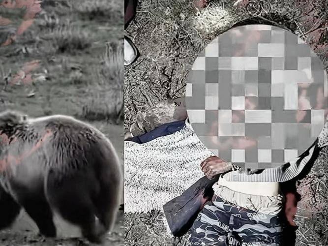 西藏林芝一村民被黑熊袭击 当地回应