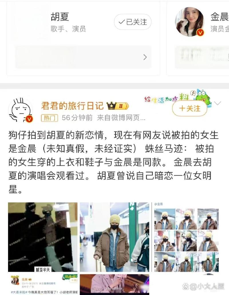 胡夏称目前单身 曾与金晨传绯闻