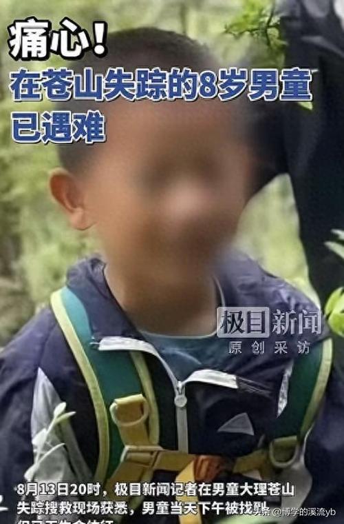 自闭症男童遇难 机构首次正面回应