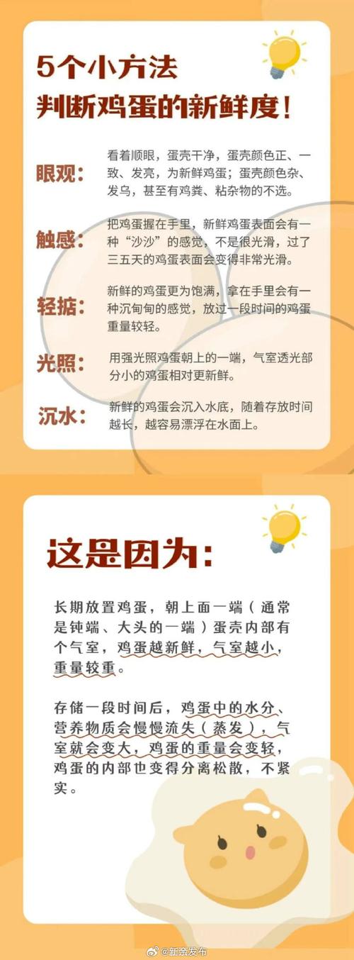 “鸡蛋储存前要清洗”系误读