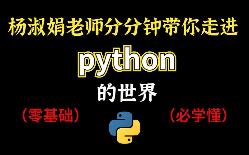 哪个老师python讲的好