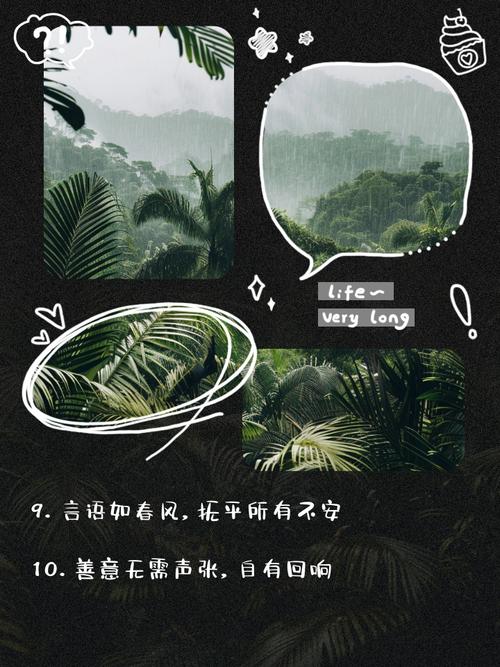这整齐的脚步声卡我心坎上了