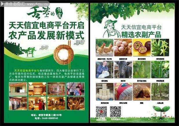 领创农副产品电商怎么做